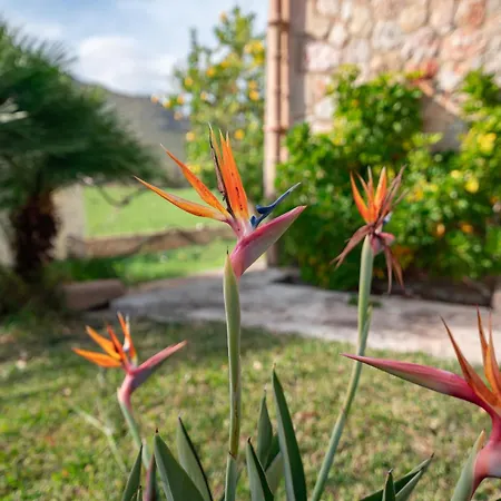 Villa Kaia By Sealand *